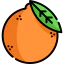 Orange icon 64x64
