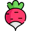 Radish icon 64x64