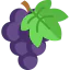 Grape icon 64x64