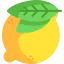 Lemon icon 64x64