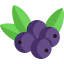 Berry icon 64x64