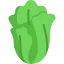 Lettuce icon 64x64
