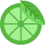 Lime icon 64x64