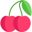 Cherry icon 64x64
