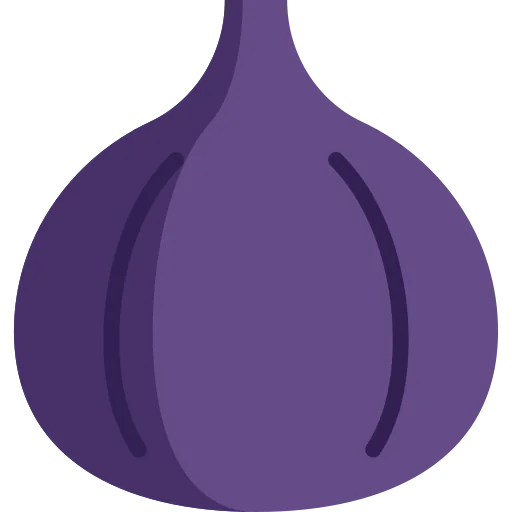 Fig icon