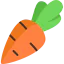 Carrot icon 64x64