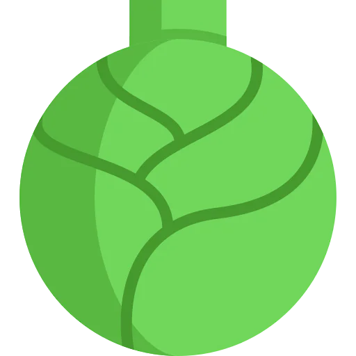 Cabbage icon