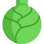 Cabbage icon 64x64