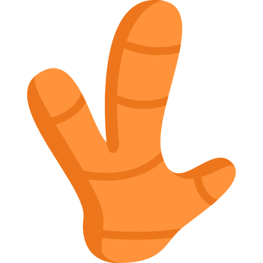 Ginger icon