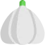 Garlic icon 64x64