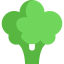 Broccoli icon 64x64