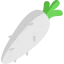 Horseradish icon 64x64