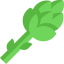Asparagus icon 64x64