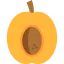 Apricot icon 64x64