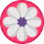 Mangosteen icon 64x64