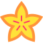 Carambola icon 64x64