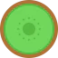 Kiwi icon 64x64