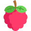 Raspberries icon 64x64