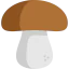 Mushroom icon 64x64