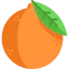 Orange icon 64x64