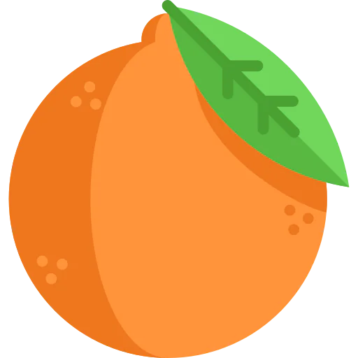 Orange icon