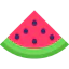 Watermelon icon 64x64