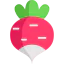 Radish 图标 64x64