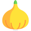 Onion 图标 64x64