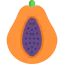Papaya 图标 64x64