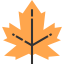 Leaf icon 64x64