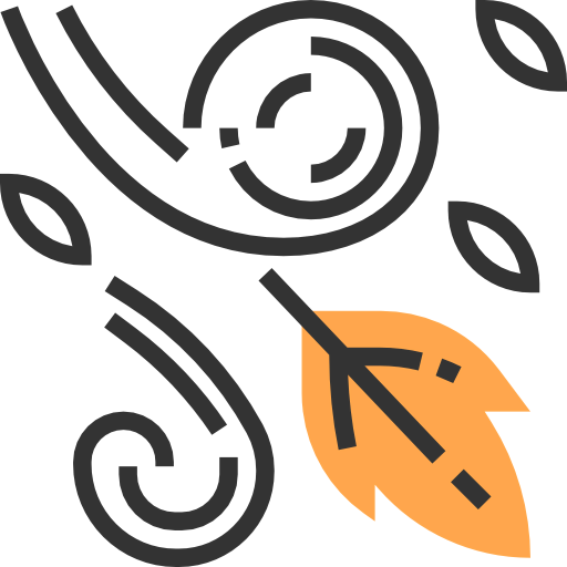Wind icon