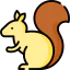 Squirrel icon 64x64