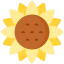 Sunflower icon 64x64