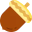 Acorn icon 64x64