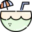Coconut drink 图标 64x64