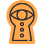 Spy icon 64x64