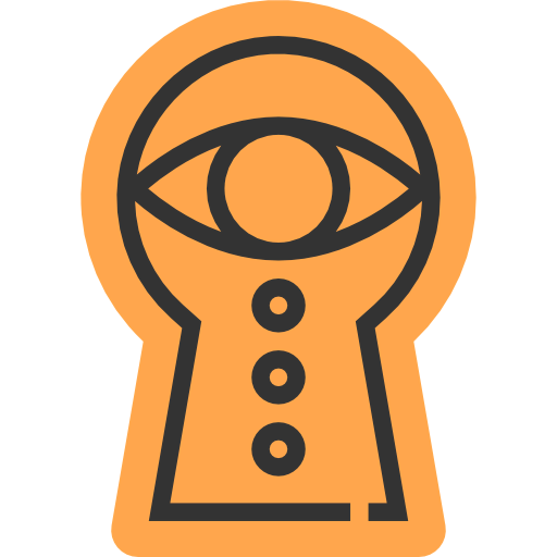 Spy icon