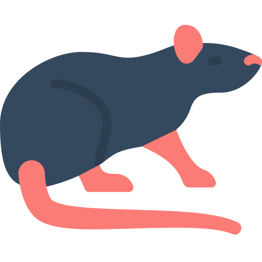 Rat icon