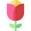 Flower 图标 64x64
