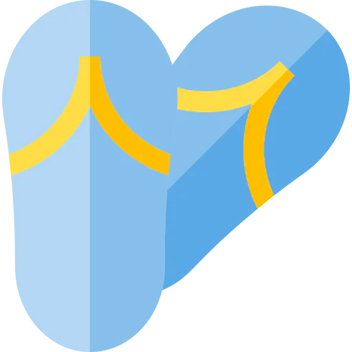 Flip flops icon