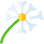 Dandelion Symbol 64x64