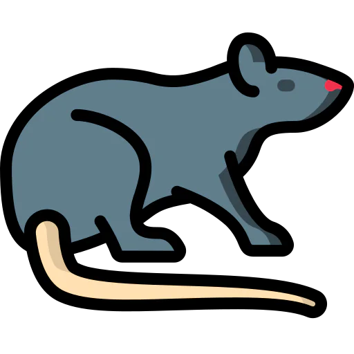 Rat icon