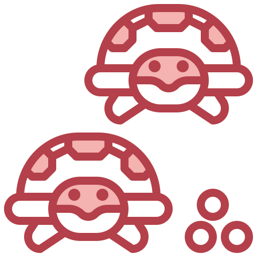 Turtle icon