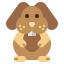 Rabbit アイコン 64x64