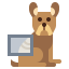 X ray アイコン 64x64