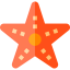 Starfish ícono 64x64