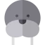 Seal ícono 64x64