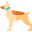 Dog icon 64x64