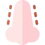 Nose icon 64x64