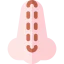 Nose icon 64x64